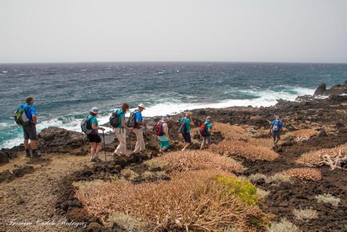 Piso Nuevo En El Puertito De Gueimar Al Lado Del Mar Realizamos Servicio De Excursiones Con Guia 圭马尔港 外观 照片